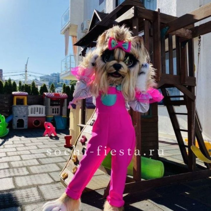 Аниматор Гламурная Собака в Благовещенске