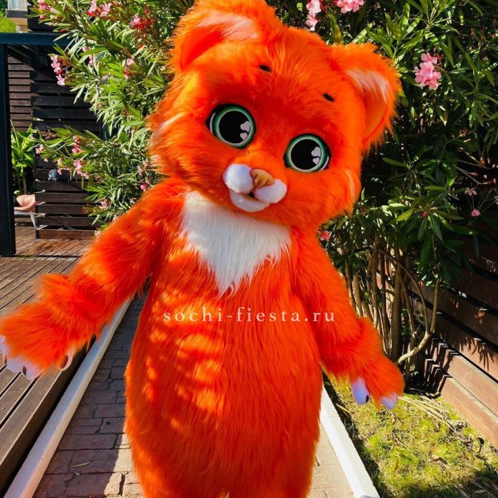 Аниматор Котик в Благовещенске