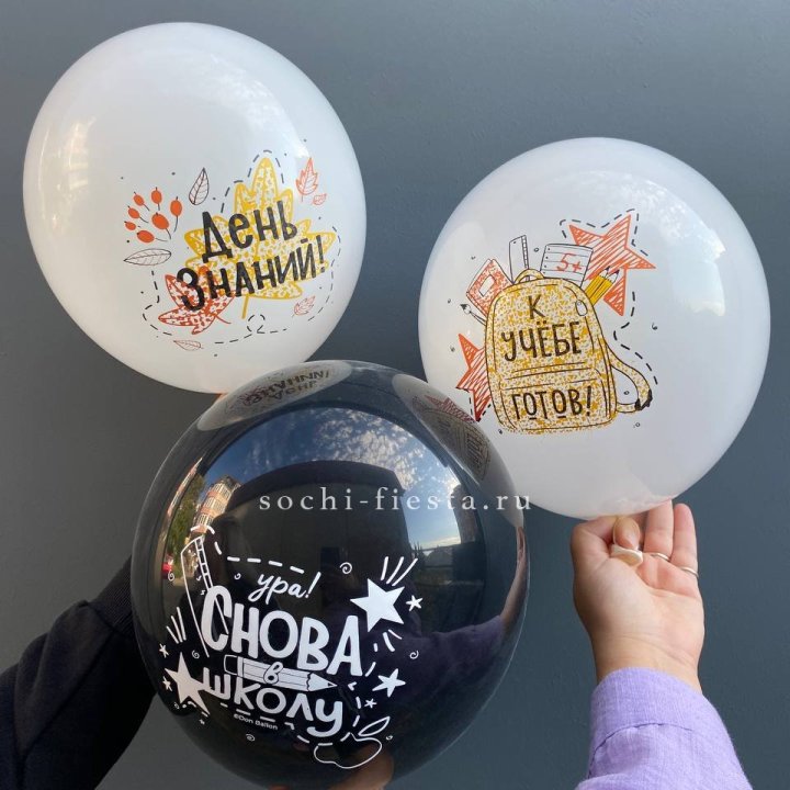 Воздушный шар к 1 сентября в Благовещенске