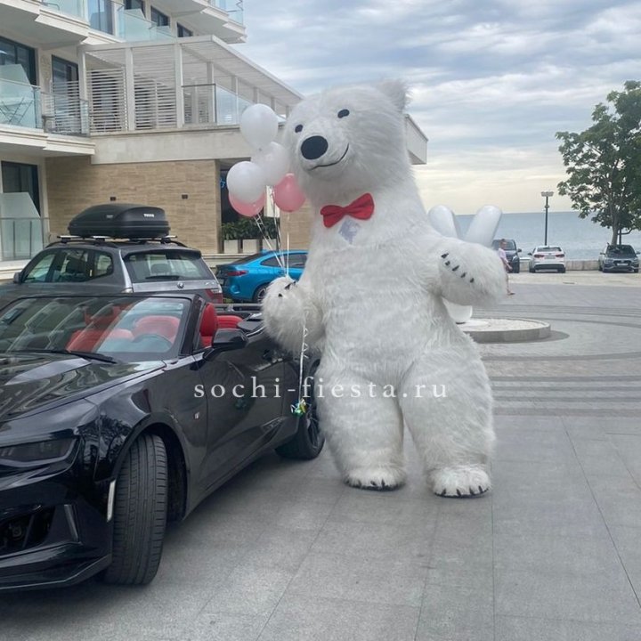 Аниматор Белый Медведь в Благовещенске