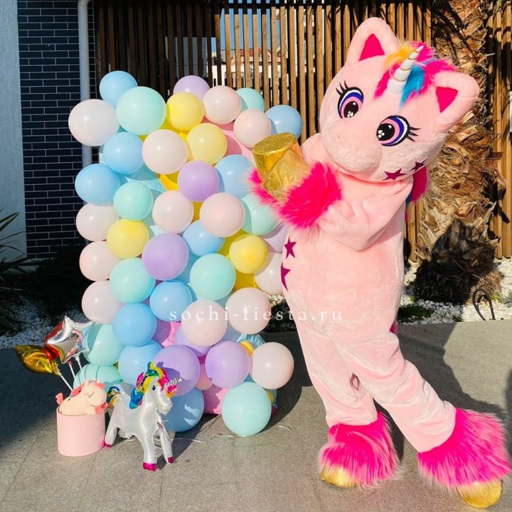 Аниматор Единорог в Благовещенске