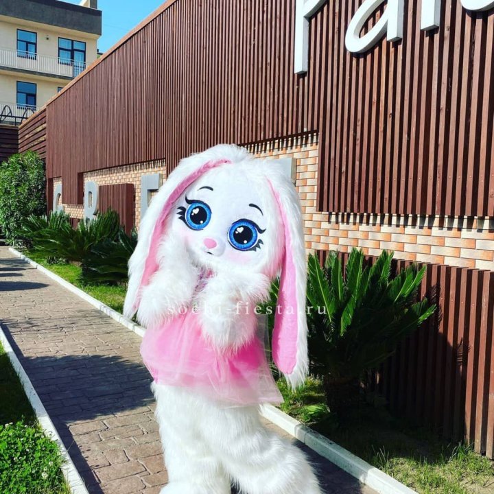 Аниматор Зайка в Благовещенске