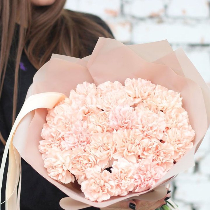 Диантусы №2 в Благовещенске