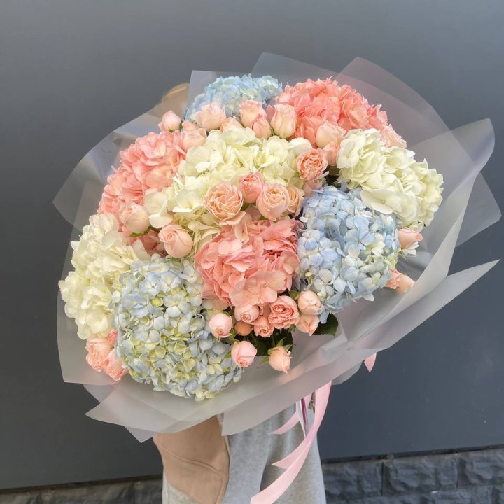 Дуо гортензии и бомбастик в Благовещенске