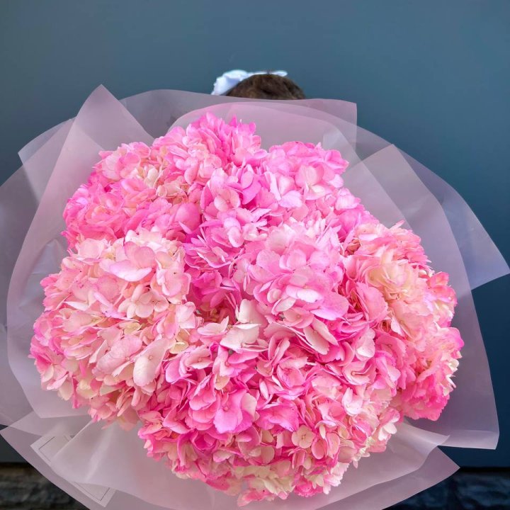 9 ярко розовых гортензий в Благовещенске