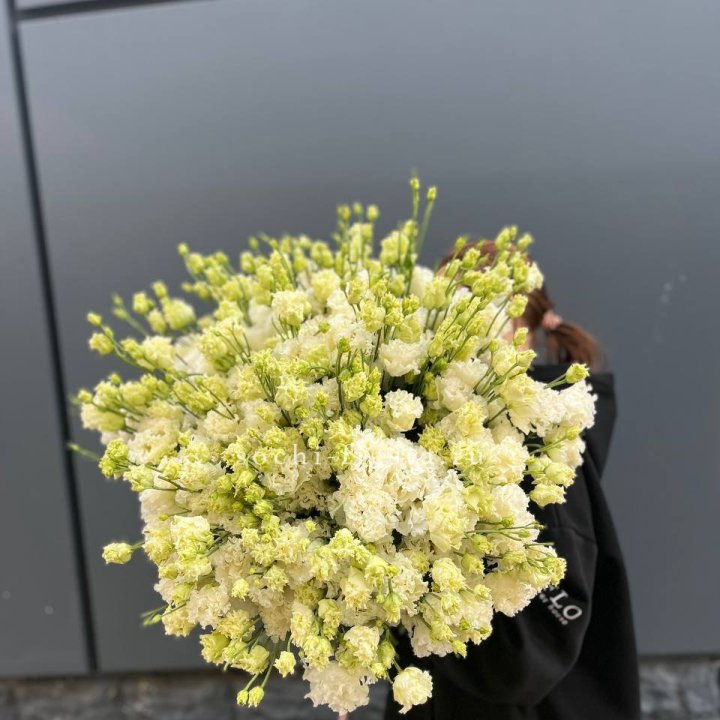 51 белая эустома в Благовещенске