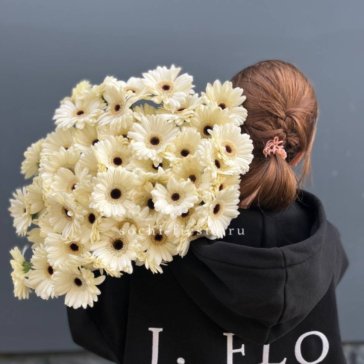 51 гербера в Благовещенске