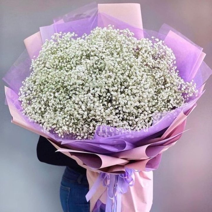 Облако белых гипсофил в Благовещенске