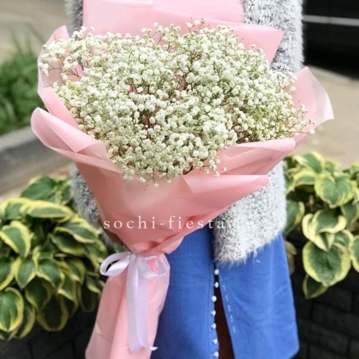 Белоснежные гипсофилы в Благовещенске