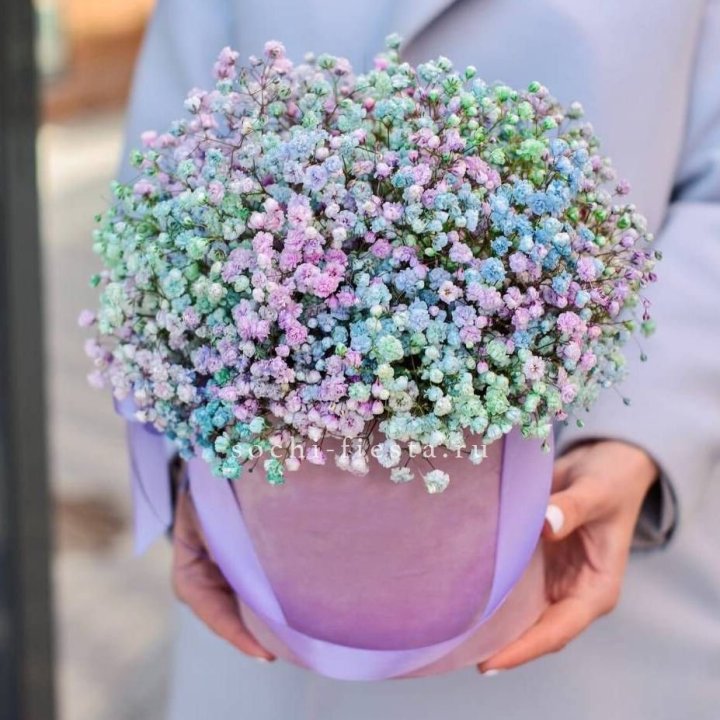 Гипсофилы в шляпной коробке "Кандилайт" в Благовещенске