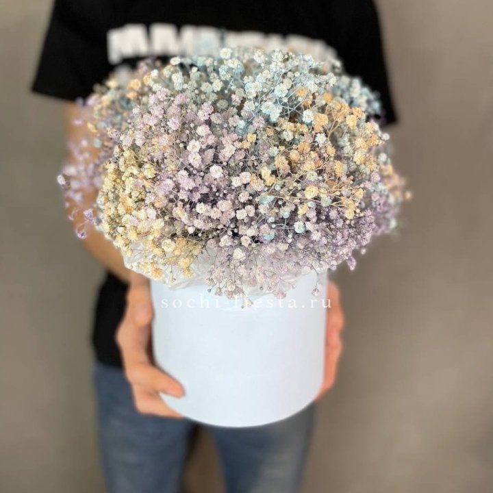 9 Радужных гипсофил в шляпной коробке в Благовещенске