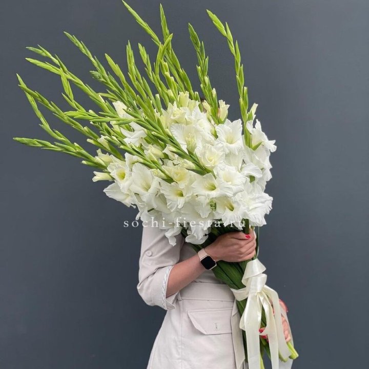 19 белых гладиолусов под ленту в Благовещенске