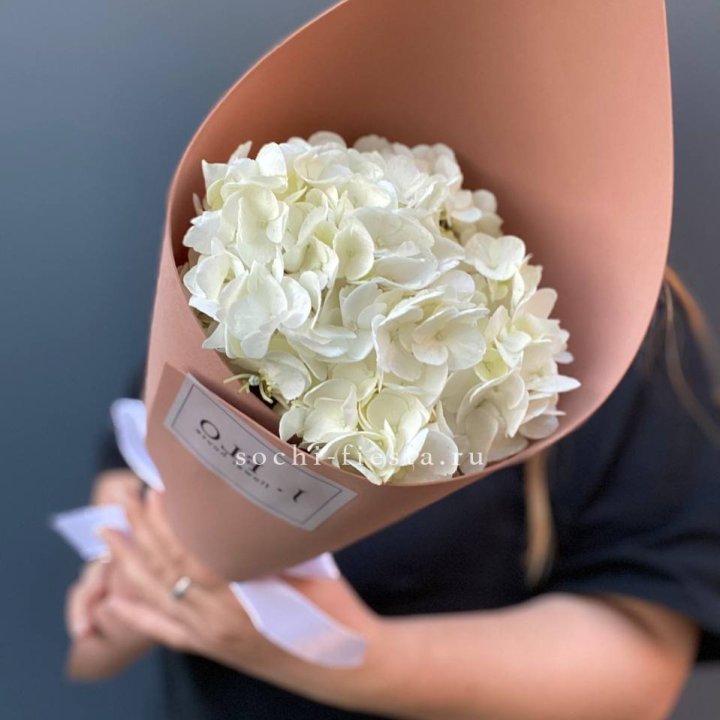 Гортензия в конверте в Благовещенске