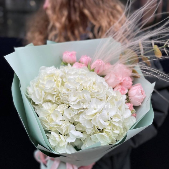 Гортензия "Жасмин" в Благовещенске