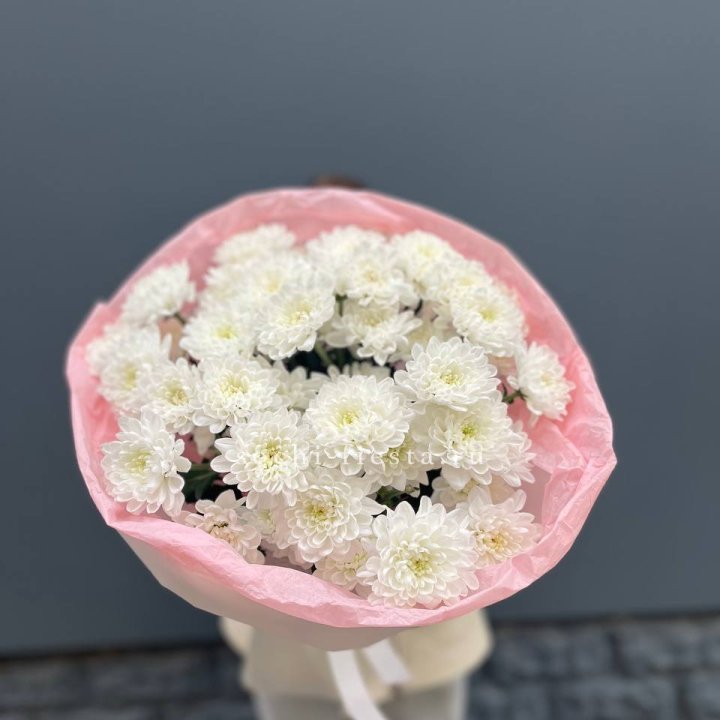  5 хризантем  в Благовещенске