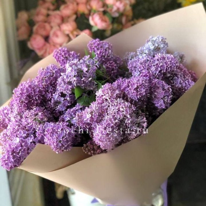 Букет сирени №2 в Благовещенске