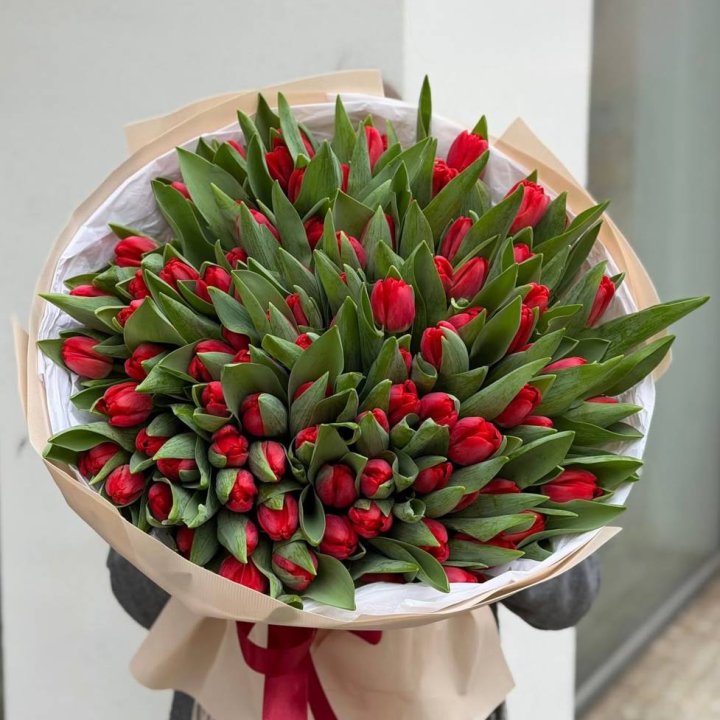 101 красный тюльпан в Благовещенске