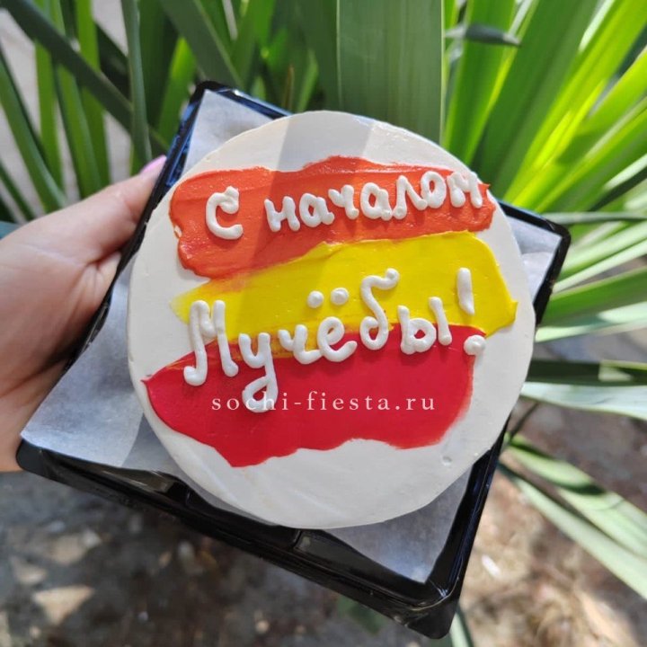 Бенто-торт "С началом учёбы"" в Благовещенске