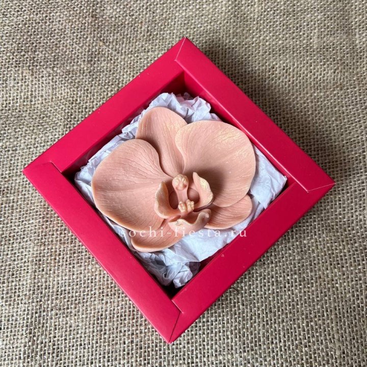 Бельгийский шоколад Орхидея в Благовещенске