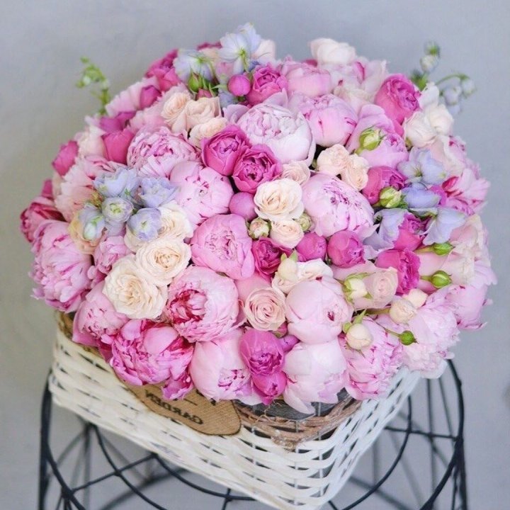 Композиция "Черри" в Благовещенске