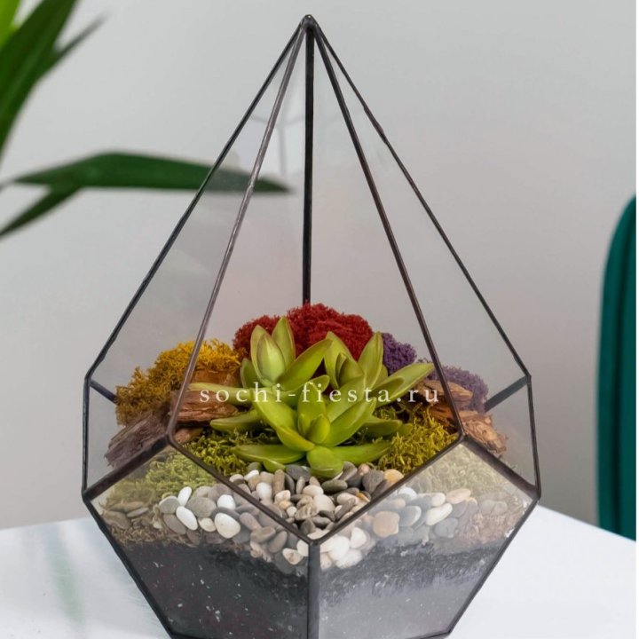 Флорариум Капля с суккулентом в Благовещенске