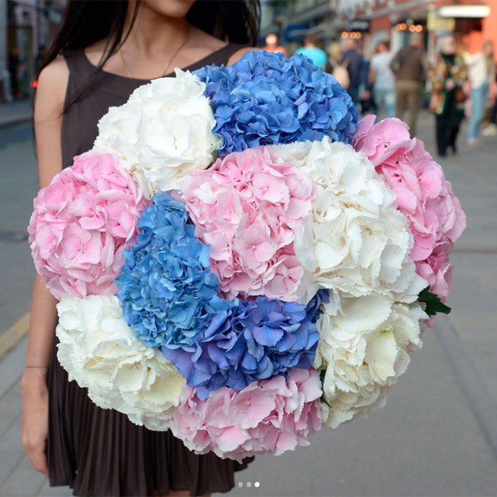 Букет гортензий "Инь-Янь" в Благовещенске