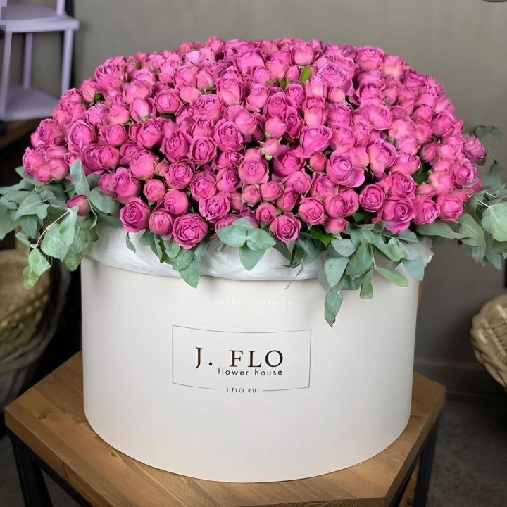 Цилиндр с Мисти Бабблс  в Благовещенске