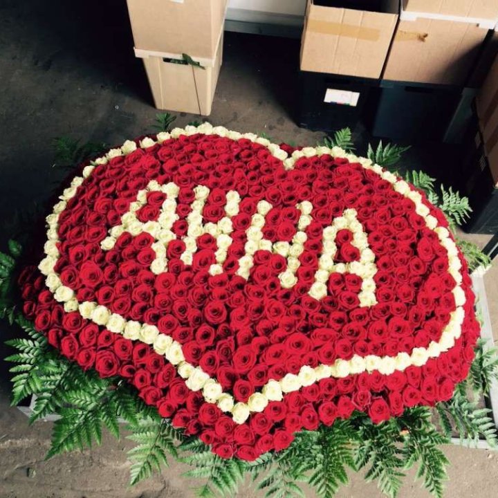 555 роз с именем в Благовещенске