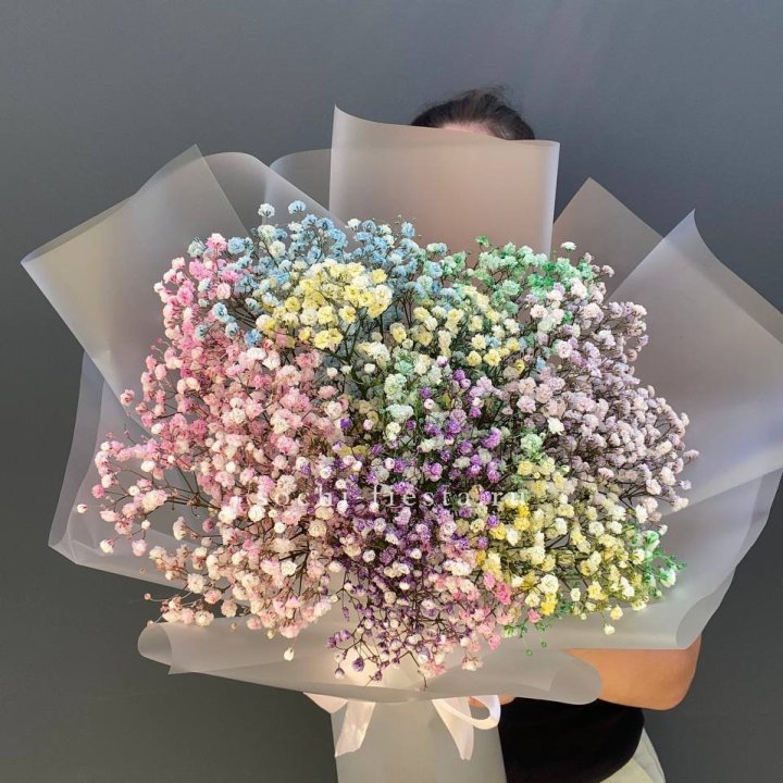 Радужные гипсофилы  в Благовещенске