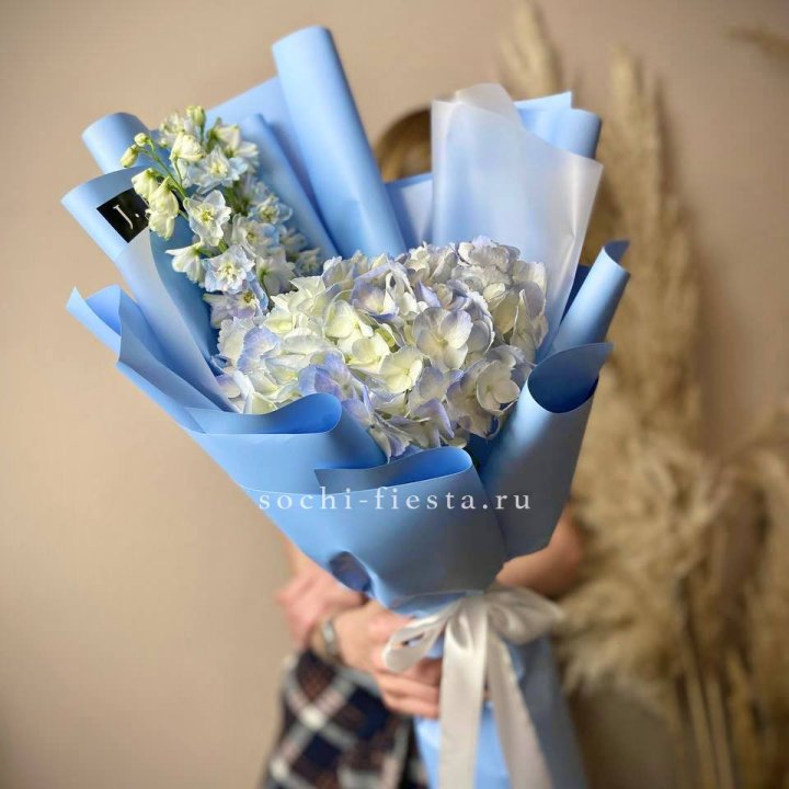 Гортензия "Блю скай" в Благовещенске