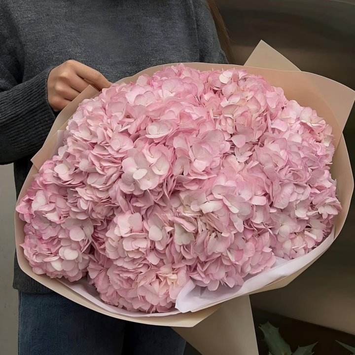 Гортензия  "РОЗЕ" в Благовещенске