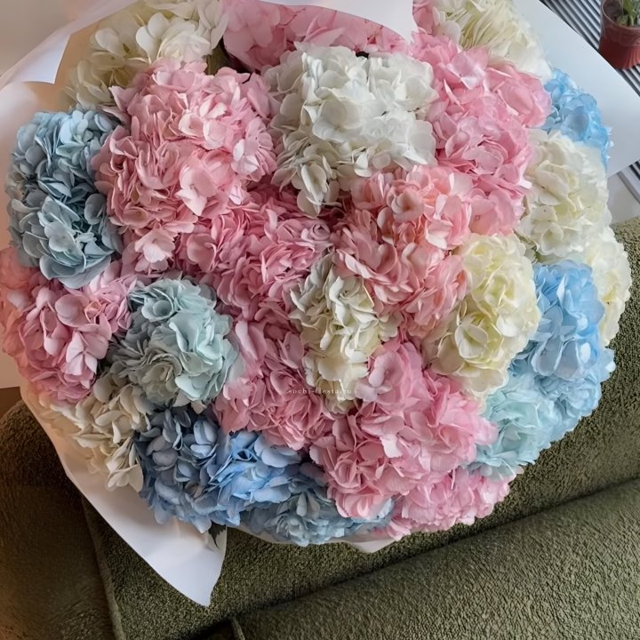 Букет гортензий микс в Благовещенске