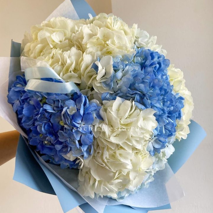 Букет гортензий "Голубая лаза" в Благовещенске
