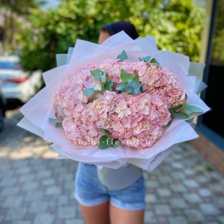 5 розовых гортензий  в Благовещенске