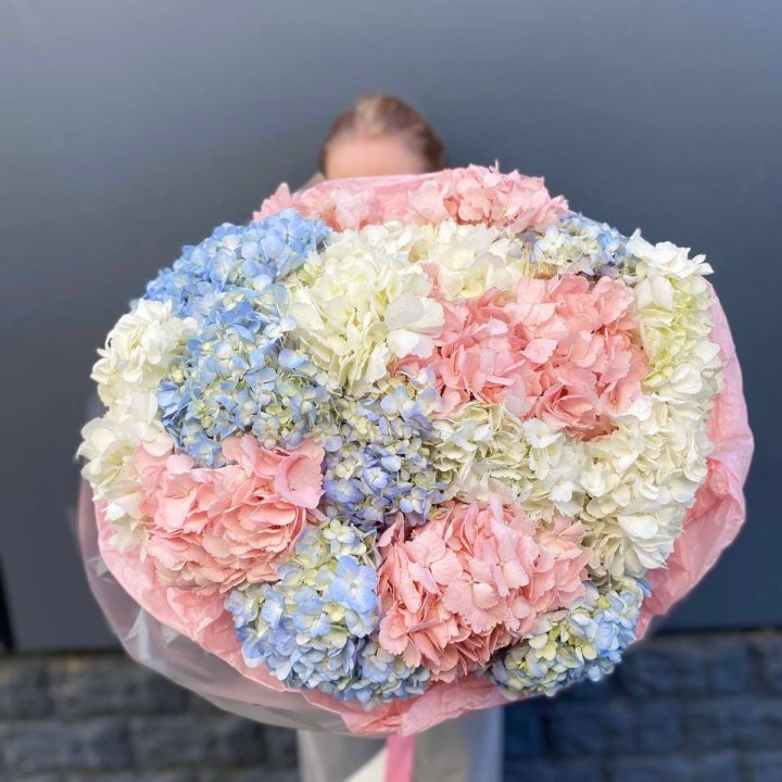 19 гортензий микс в Благовещенске