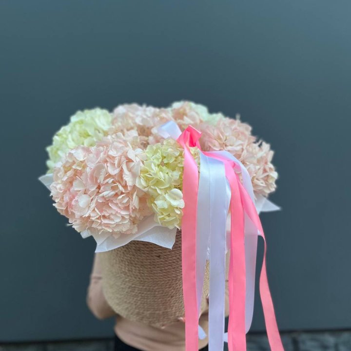 7 гортензий в кашпо в Благовещенске