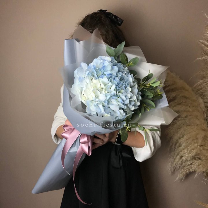 Гортензия Уно в Благовещенске