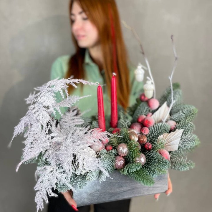 Бокс красный с нобилисом в Благовещенске