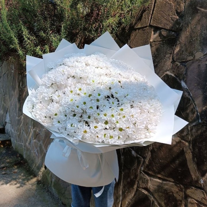 Облако хризантем №2 в Благовещенске