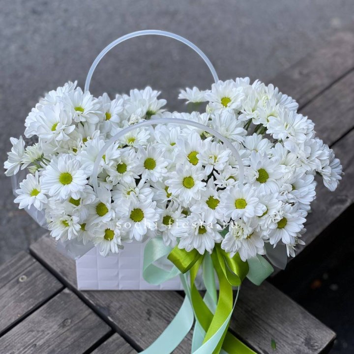 Сумка с хризантемами ромашками в Благовещенске