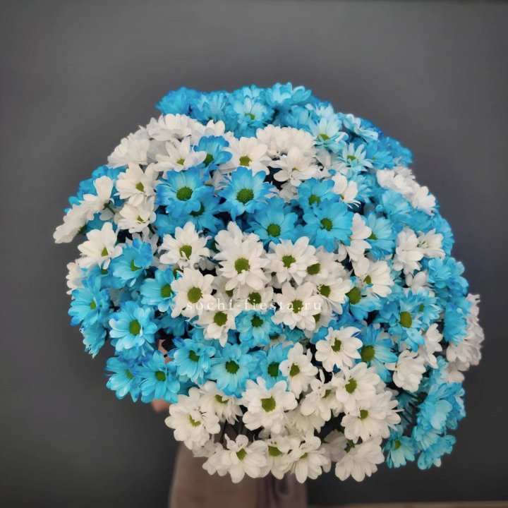  Букет хризантем микс в Благовещенске