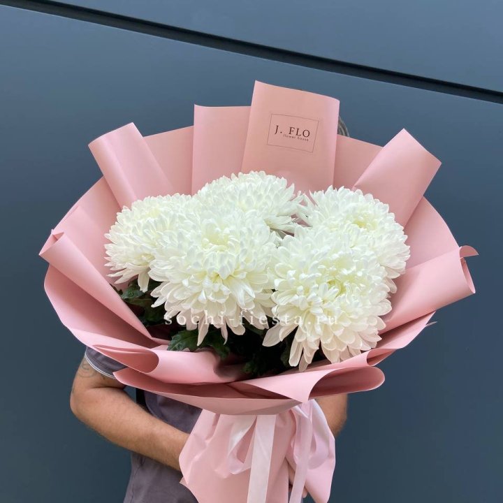 Профитроли №2 в Благовещенске