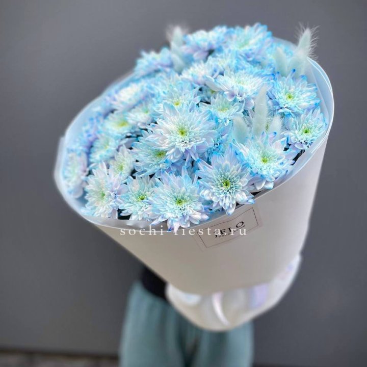  Букет нежно-голубых хризантем  в Благовещенске