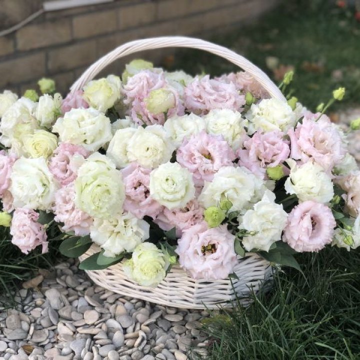 Корзина с эустомой в Благовещенске