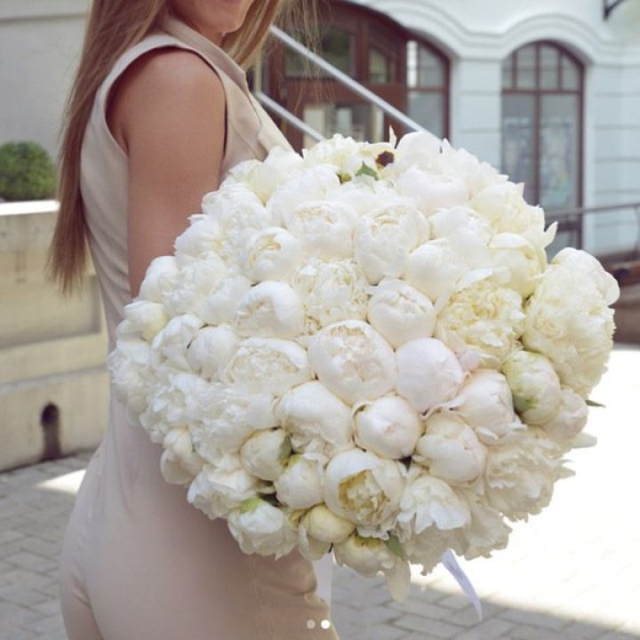 51 белый пион в Благовещенске