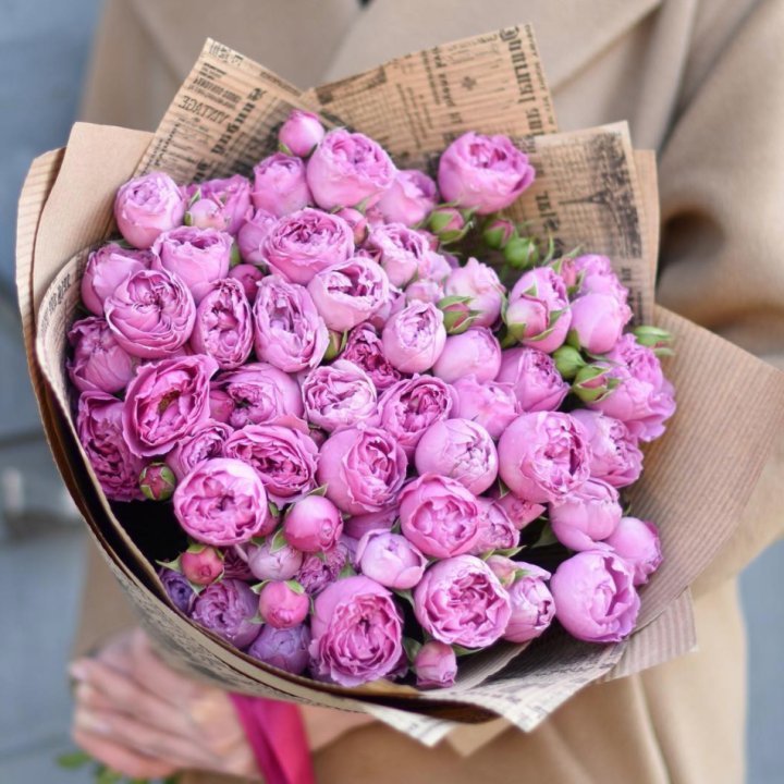 Роза Мисти Баблс в Благовещенске