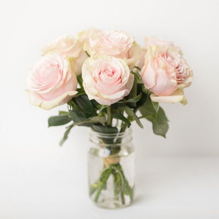 7 кремовых роз в Благовещенске