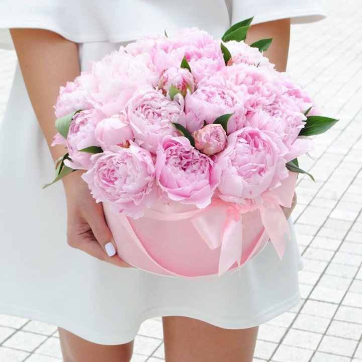 Пионы в шляпной коробке в Благовещенске