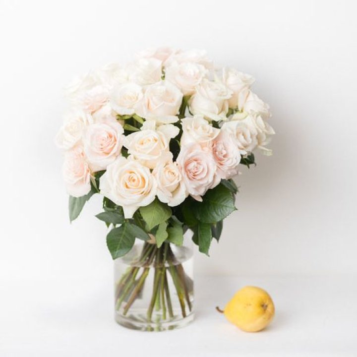 25 кремовых роз в Благовещенске