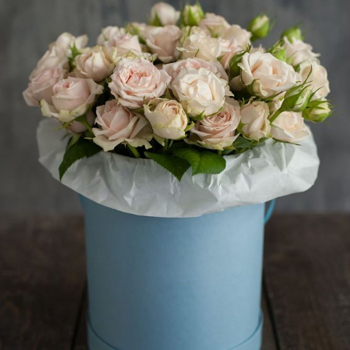 Бокс с бомбастиком в Благовещенске